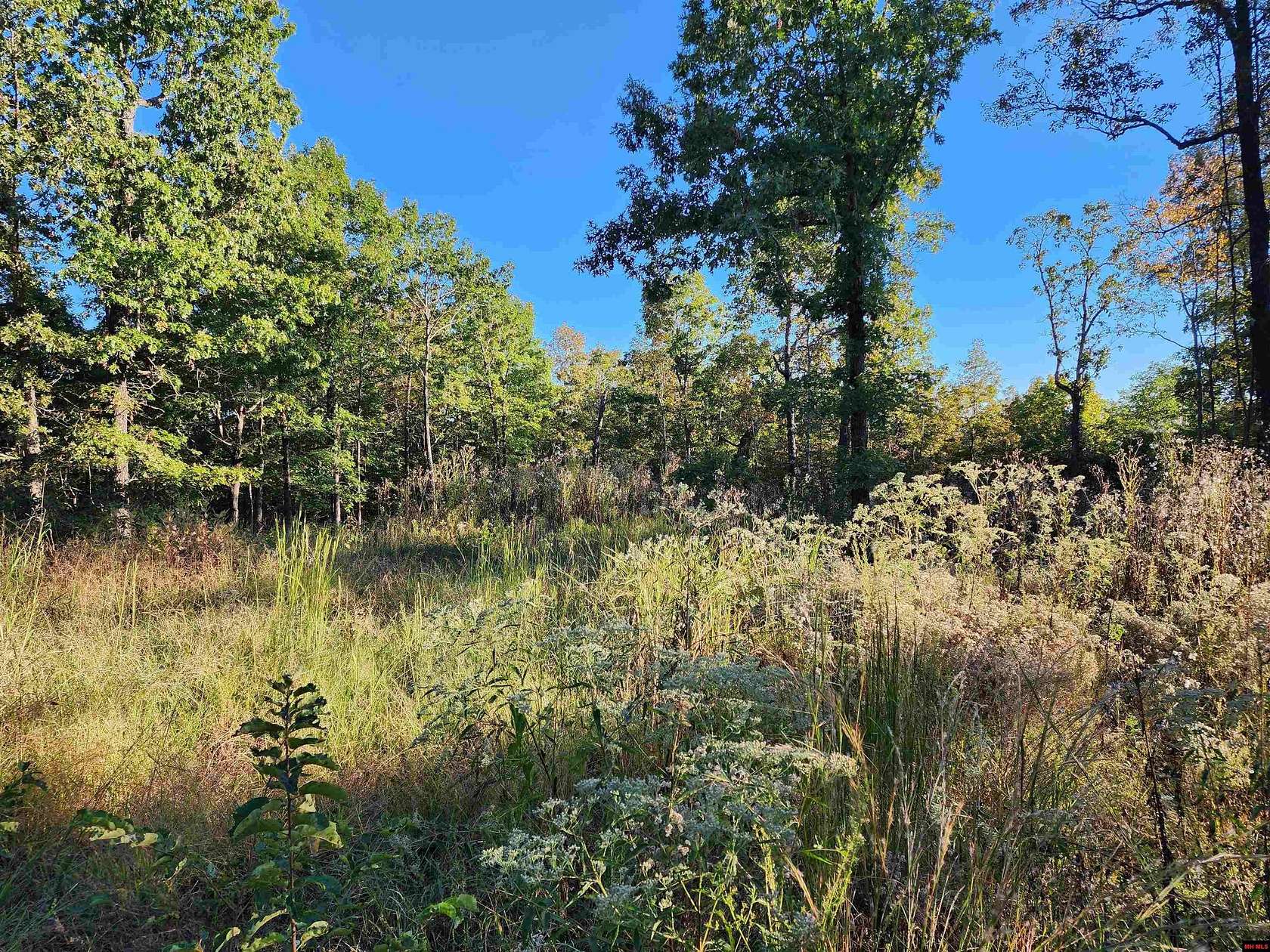 87.16 Acres of Recreational Land for Sale in Mammoth Spring, Arkansas