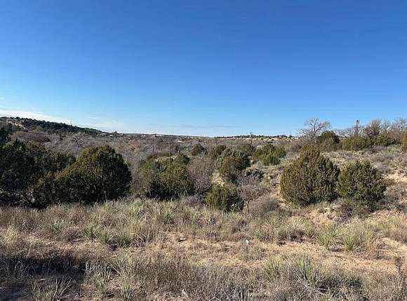 5 Acres of Land for Sale in Amarillo, Texas