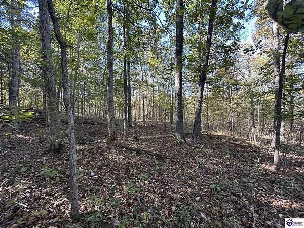 17.9 Acres of Land for Sale in Hudson, Kentucky