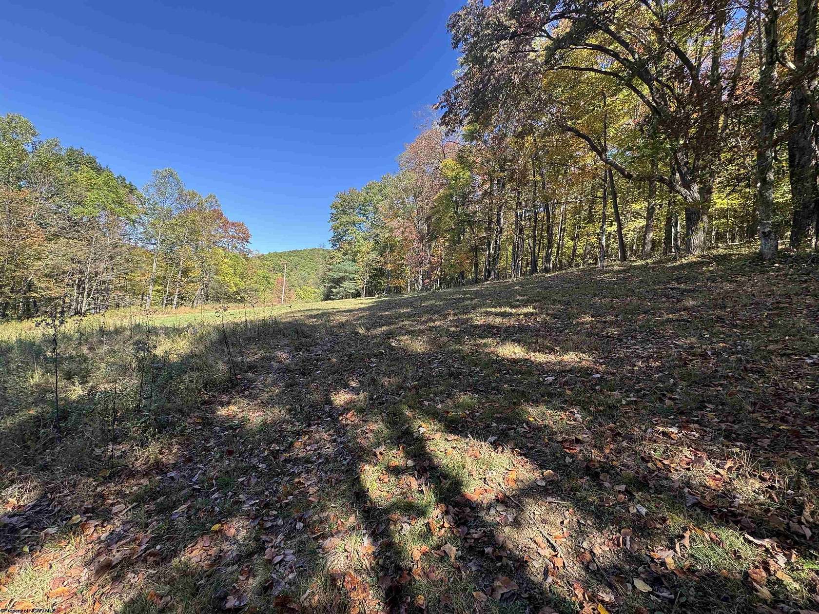 2.48 Acres of Residential Land for Sale in Elkins, West Virginia