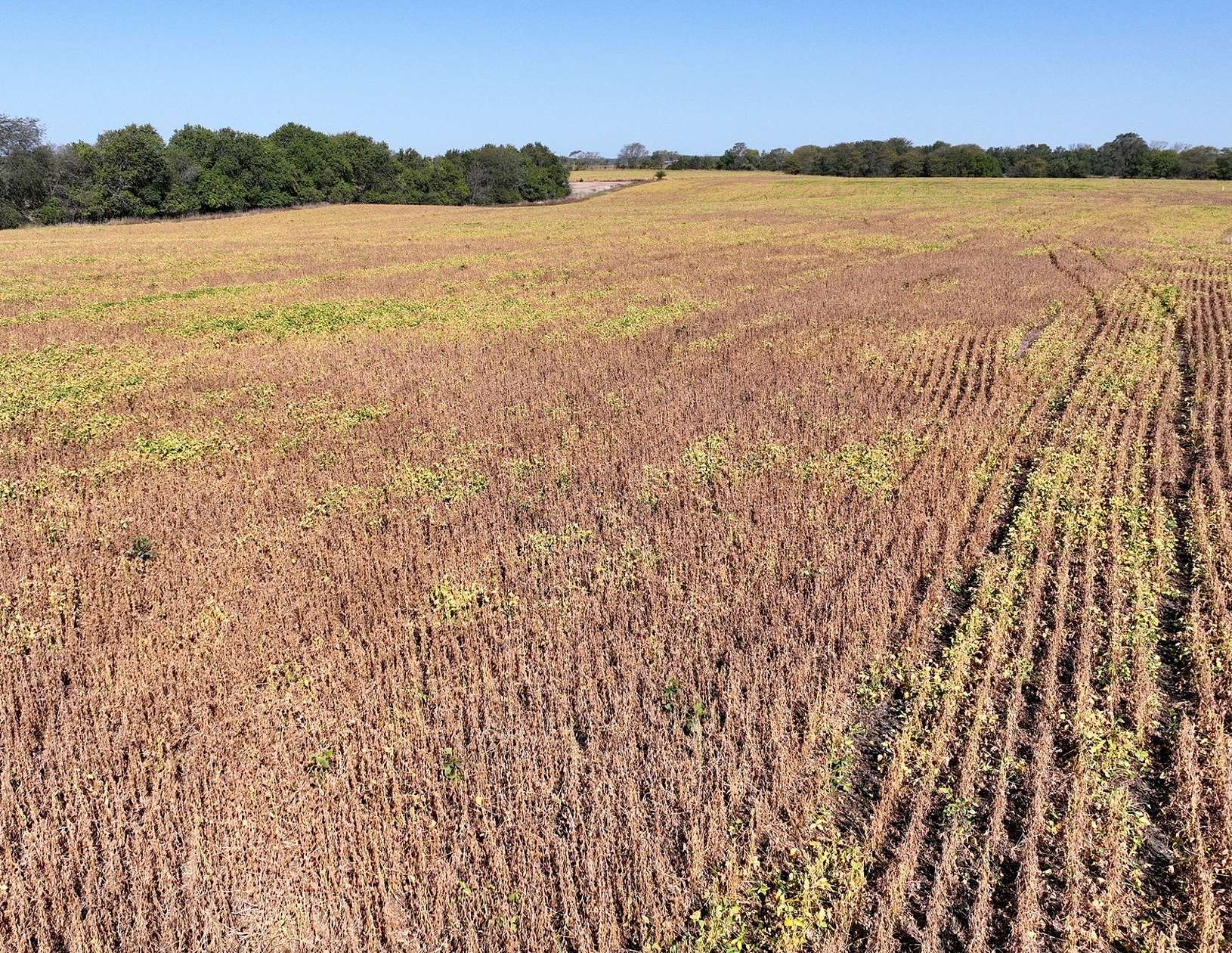 34.91 Acres of Agricultural Land for Sale in Derby, Iowa