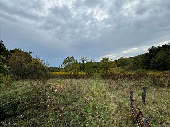 104.768 Acres of Recreational Land & Farm for Auction in Coshocton, Ohio