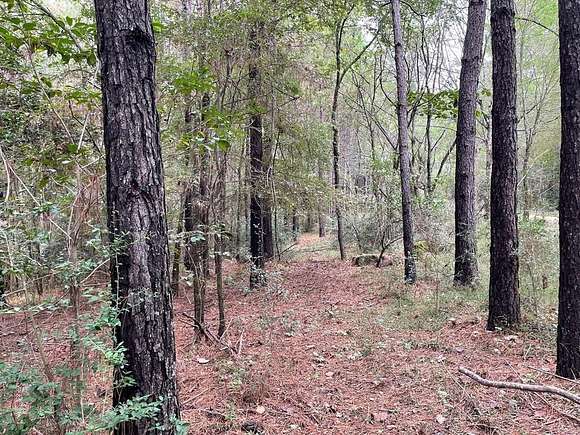 9.5 Acres of Land for Sale in Nacogdoches, Texas