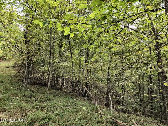 0.65 Acres of Residential Land for Sale in Baneberry, Tennessee