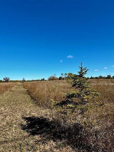 5.84 Acres of Residential Land for Sale in Gibraltar Town, Wisconsin