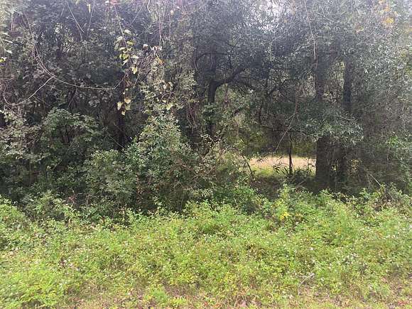 1 Acre of Residential Land for Sale in Crawfordville, Florida