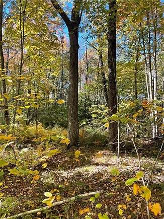 40 Acres of Recreational Land for Sale in New Auburn, Wisconsin