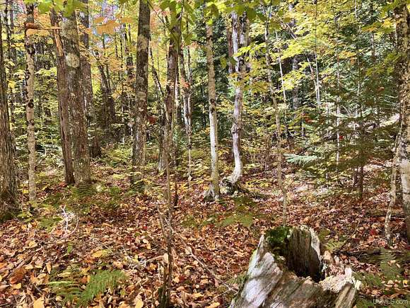 11.36 Acres of Recreational Land for Sale in Nisula, Michigan