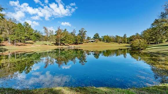 170 Acres of Recreational Land with Home for Sale in Buena Vista, Georgia