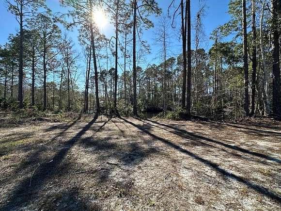 2.5 Acres of Mixed-Use Land for Sale in Suwannee, Florida