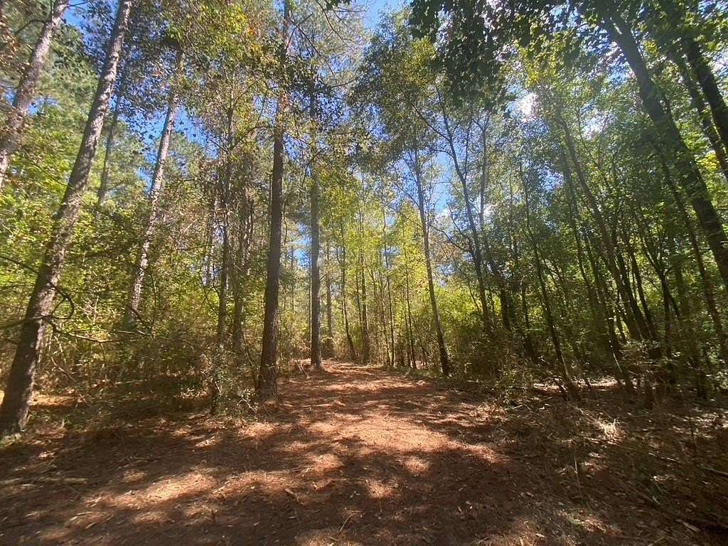 26 Acres of Recreational Land for Sale in Tylertown, Mississippi