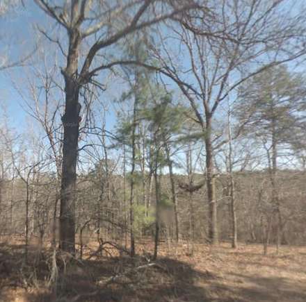 0.31 Acres of Residential Land for Sale in Jefferson, Texas