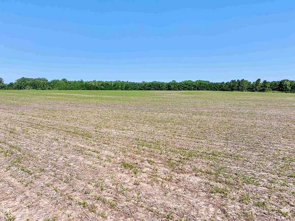 39.72 Acres of Agricultural Land for Sale in Little Suamico, Wisconsin