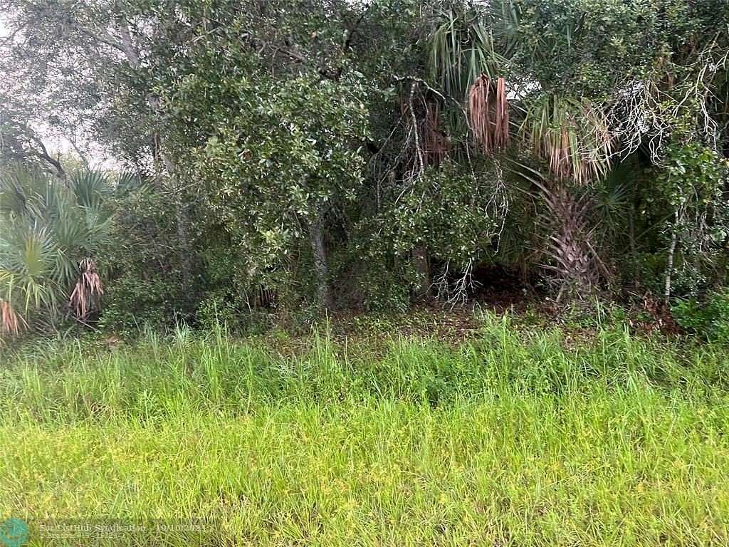 1.25 Acres of Residential Land for Sale in Okeechobee, Florida