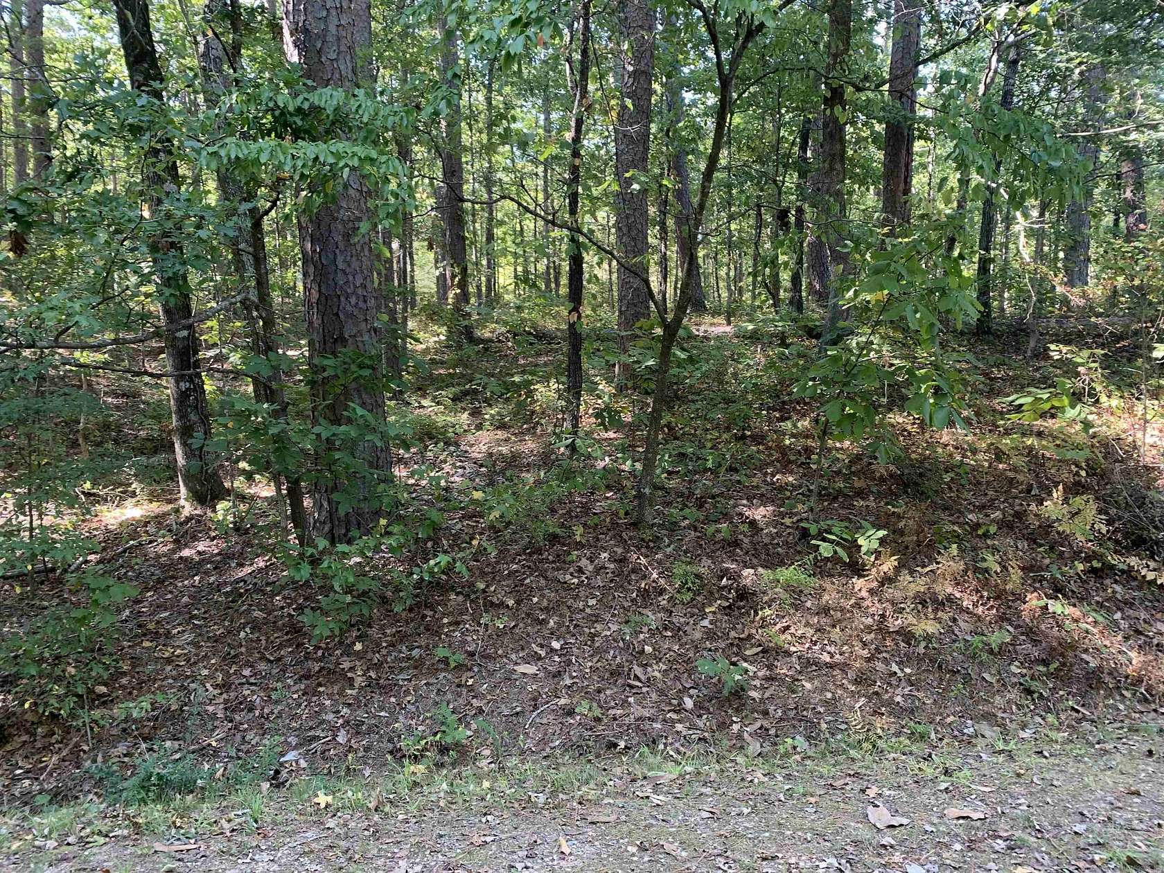 0.39 Acres of Residential Land for Sale in Hot Springs Village, Arkansas