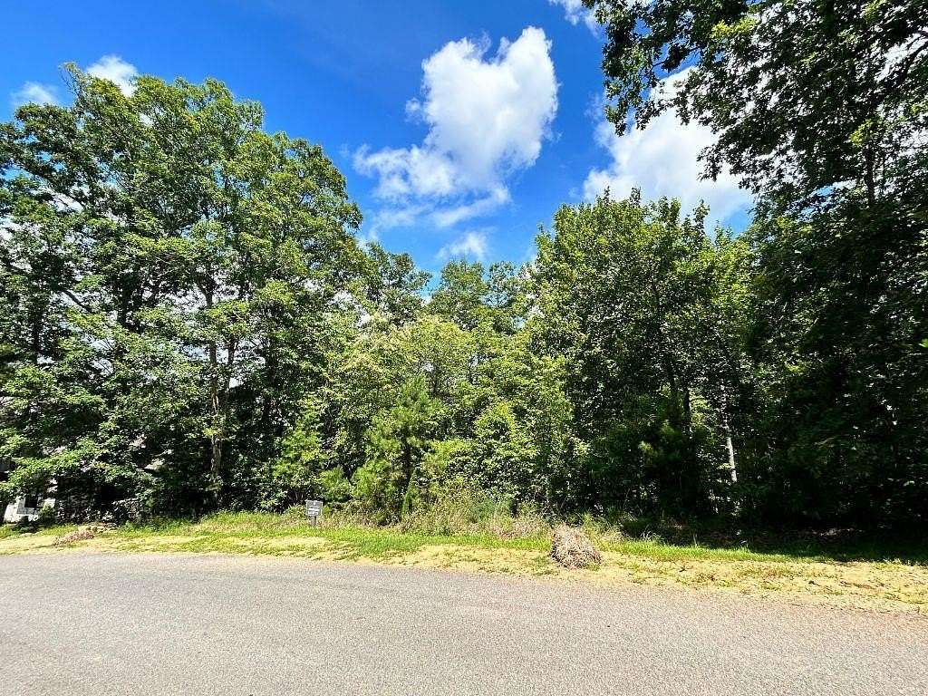 0.52 Acres of Residential Land for Sale in Mineral Bluff, Georgia