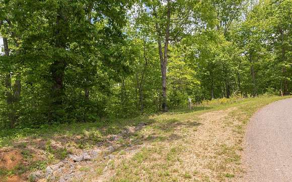 0.52 Acres of Residential Land for Sale in Mineral Bluff, Georgia