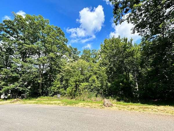 0.52 Acres of Residential Land for Sale in Mineral Bluff, Georgia