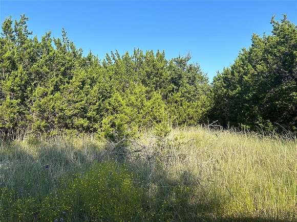 0.16 Acres of Residential Land for Sale in Whitney, Texas