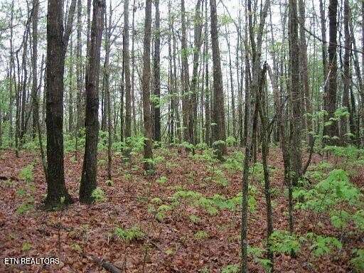 1.1 Acres of Residential Land for Sale in Monterey, Tennessee