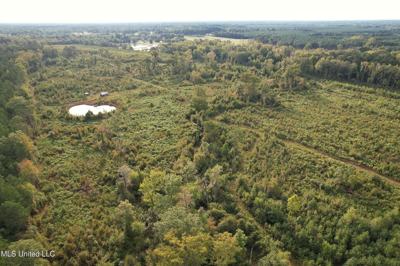 90 Acres of Recreational Land for Sale in Wilmar, Arkansas