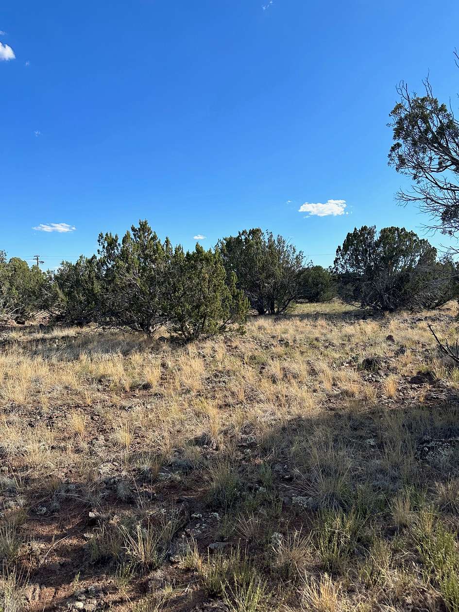 1.05 Acres of Residential Land for Sale in Show Low, Arizona