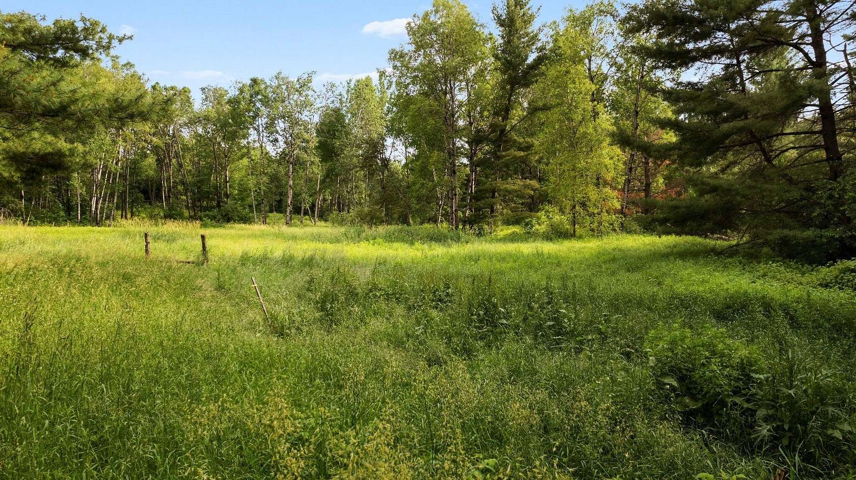 20 Acres of Recreational Land for Sale in Le Roy, Michigan