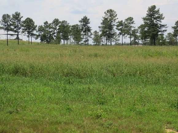 Residential Land for Sale in Ellisville, Mississippi