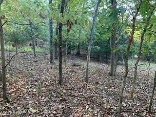 1 Acre of Residential Land for Sale in Sunrise Beach, Missouri