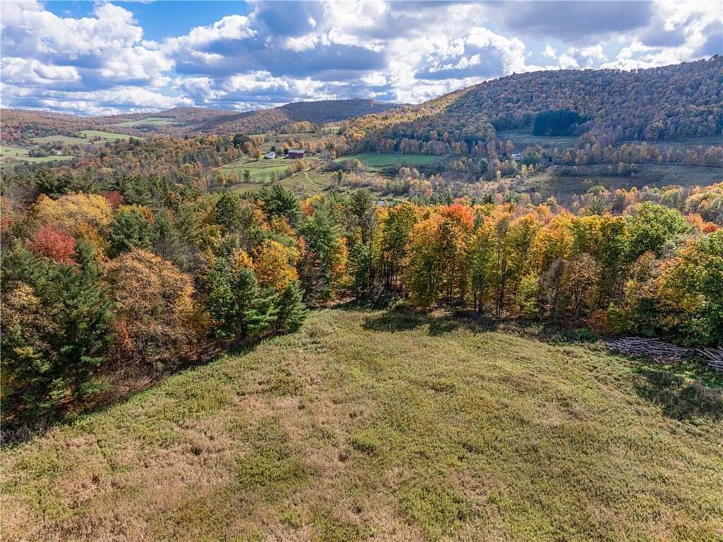 40.1 Acres of Agricultural Land for Sale in Meredith, New York