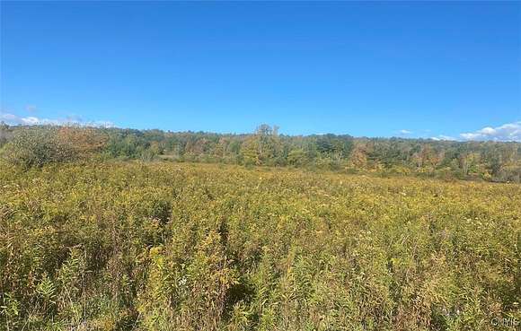 10.87 Acres of Recreational Land for Sale in Granger Town, New York