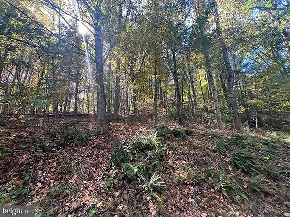 0.87 Acres of Residential Land for Sale in Stanley, Virginia