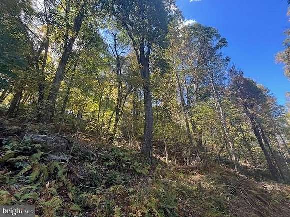 1.03 Acres of Residential Land for Sale in Stanley, Virginia