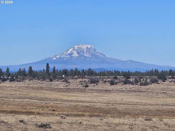 20 Acres of Recreational Land for Sale in Centerville, Washington