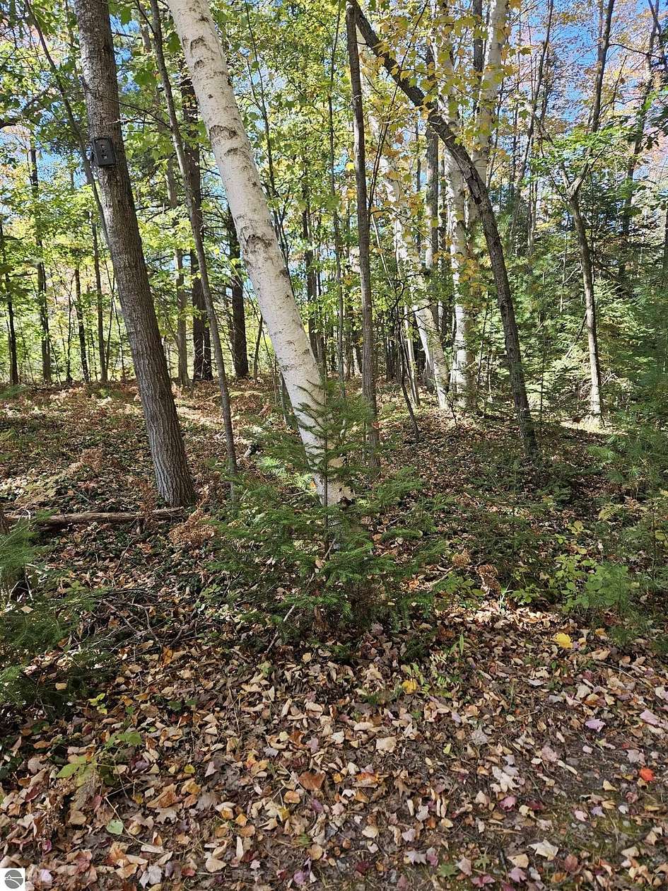 20.44 Acres of Recreational Land for Sale in Hale, Michigan