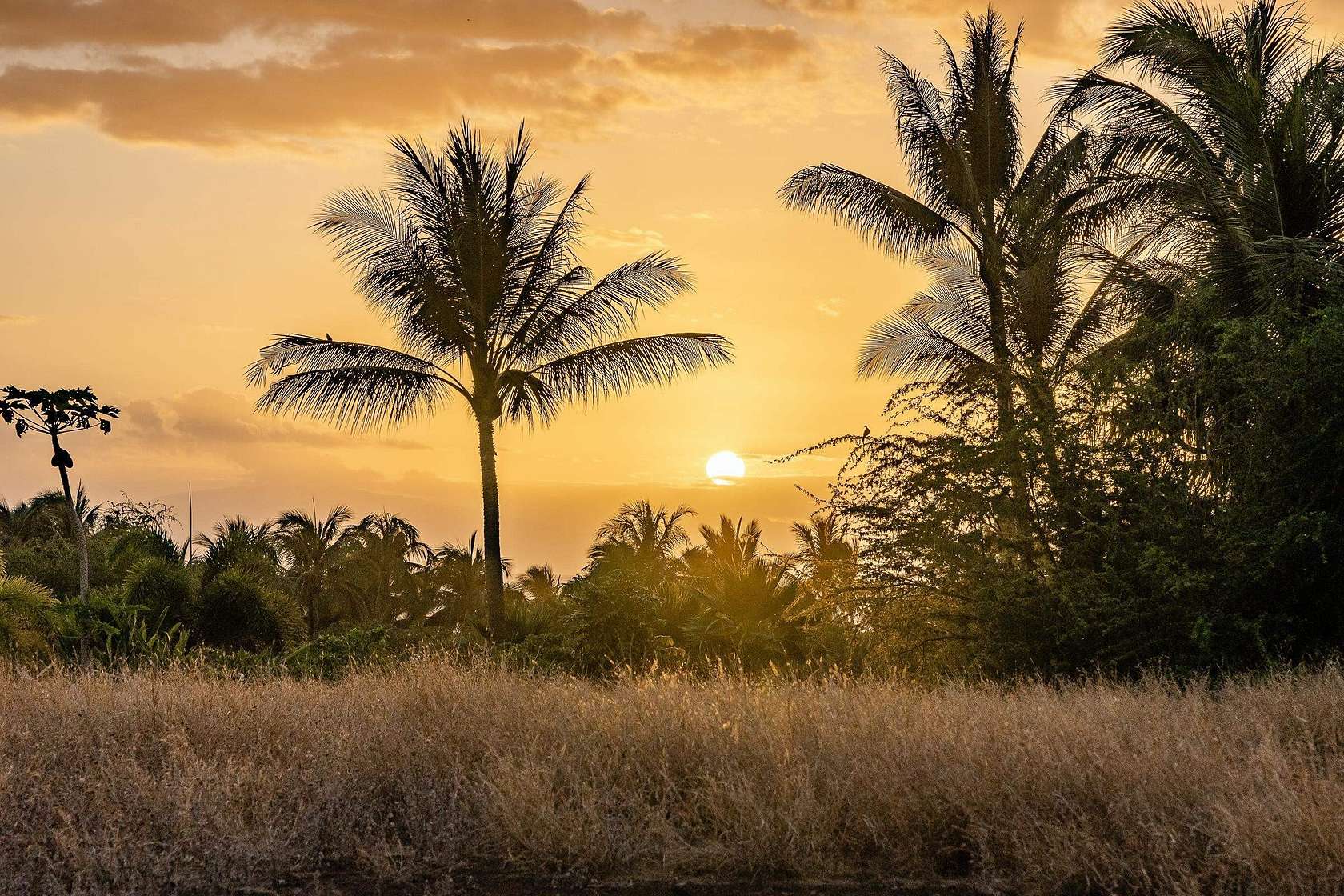 1.88 Acres of Land for Sale in Kihei, Hawaii