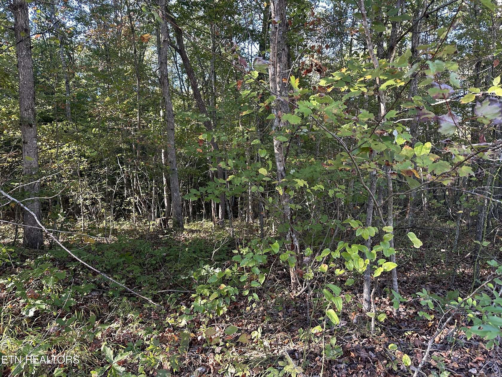 4.52 Acres of Residential Land for Sale in Jamestown, Tennessee