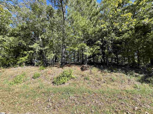 1 Acre of Residential Land for Sale in Abbeville, South Carolina