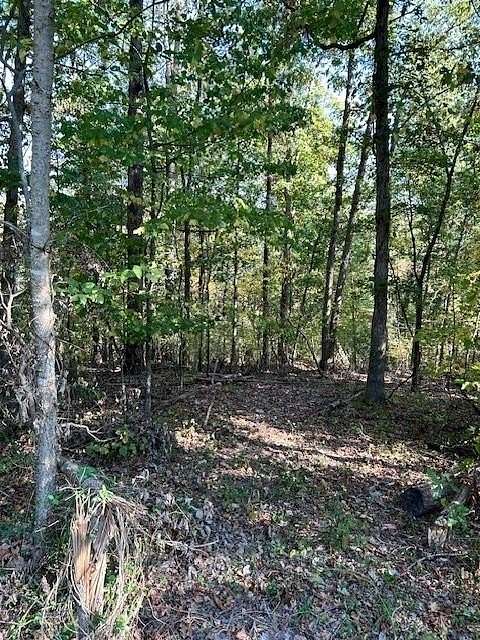 0.27 Acres of Residential Land for Sale in Bella Vista, Arkansas