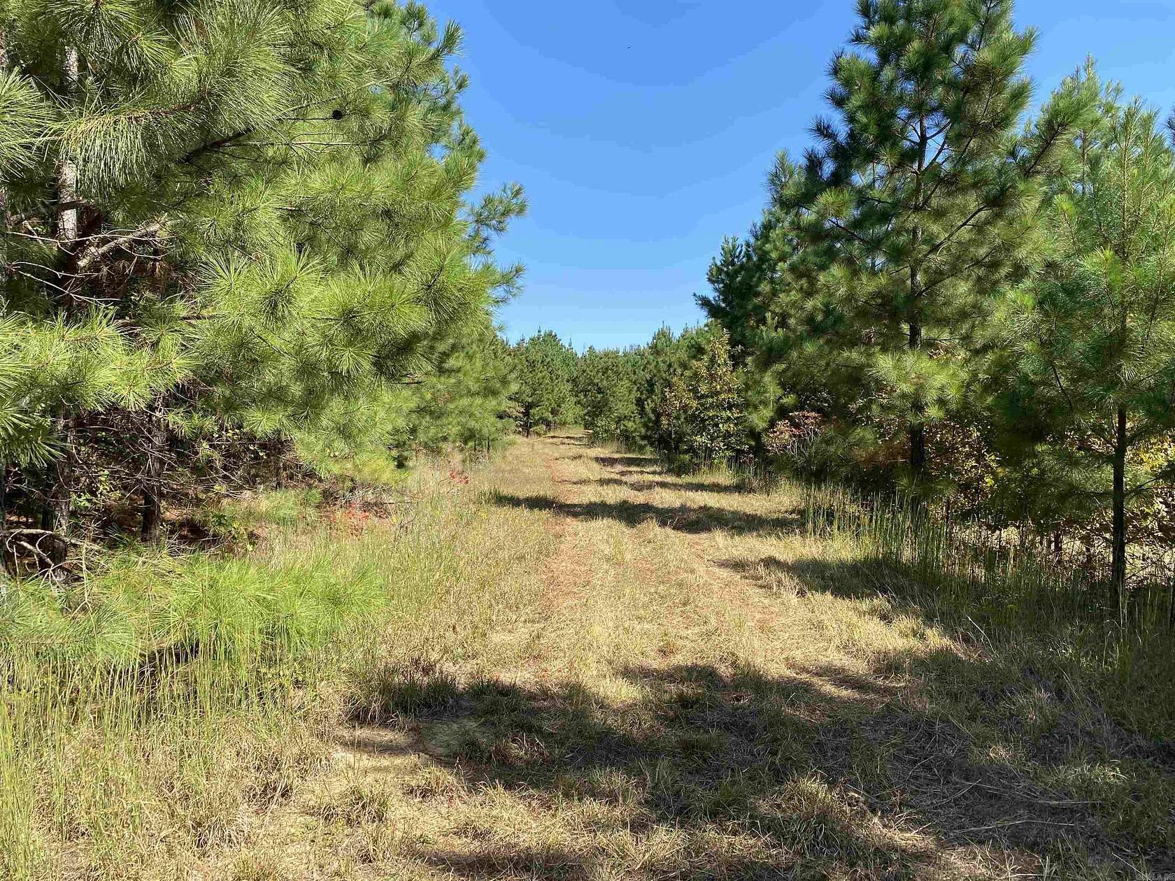 120 Acres of Recreational Land for Sale in Pangburn, Arkansas