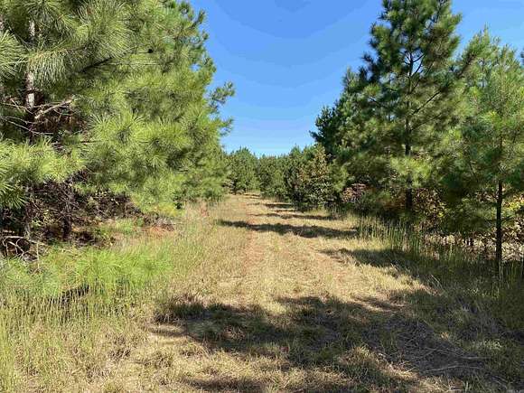 120 Acres of Recreational Land for Sale in Pangburn, Arkansas