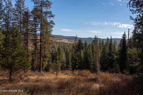 10 Acres of Residential Land for Sale in St. Maries, Idaho