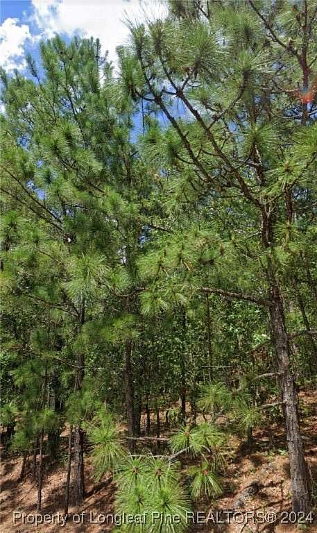 1 Acre of Residential Land for Sale in Jackson Springs, North Carolina