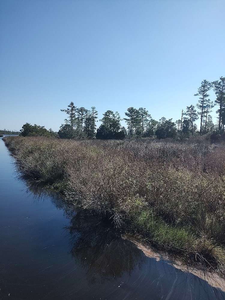 5.18 Acres of Agricultural Land for Sale in Bayboro, North Carolina