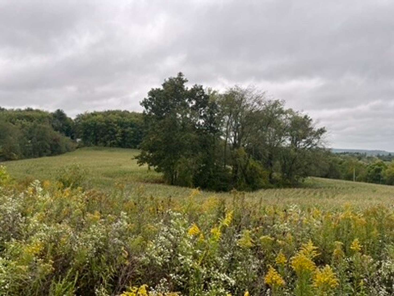 13 Acres of Recreational Land with Home for Sale in Punxsutawney, Pennsylvania