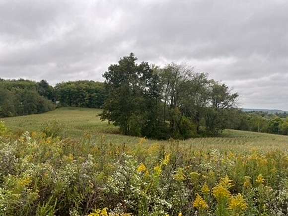 13 Acres of Recreational Land with Home for Sale in Punxsutawney, Pennsylvania