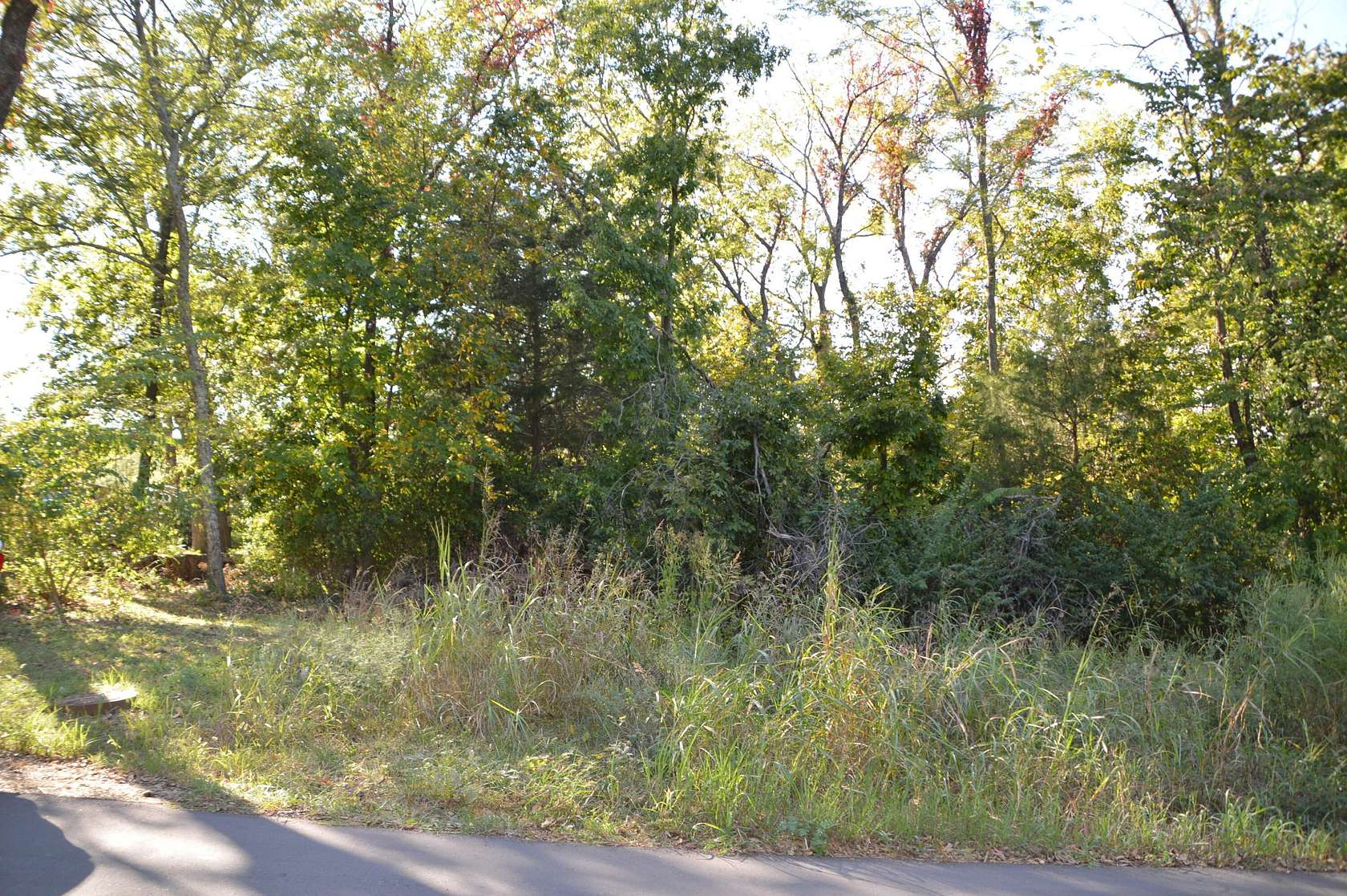 0.3 Acres of Residential Land for Sale in Springfield, Missouri