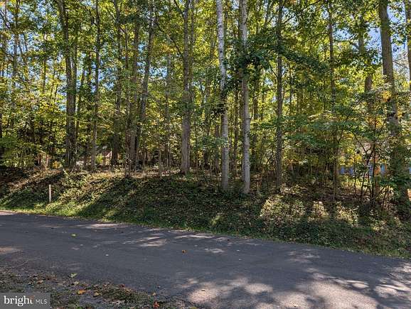 0.52 Acres of Residential Land for Sale in Locust Grove, Virginia