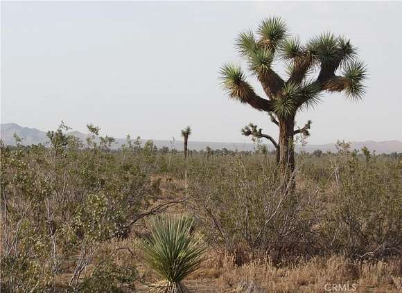 1.34 Acres of Commercial Land for Sale in Adelanto, California