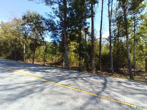 19 Acres of Land for Sale in Somerville, Alabama